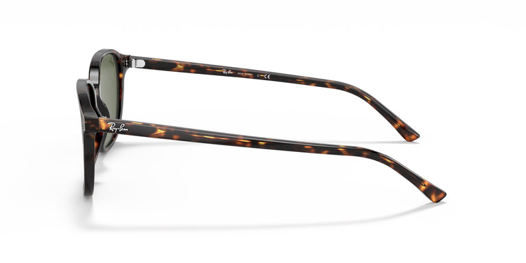 Ray-Ban RB2193 LEONARD 902/31 51