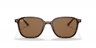 Ray-Ban RB2193 LEONARD 902/57 55