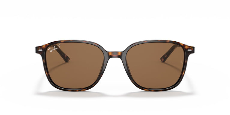 Ray-Ban RB2193 LEONARD 902/57 55