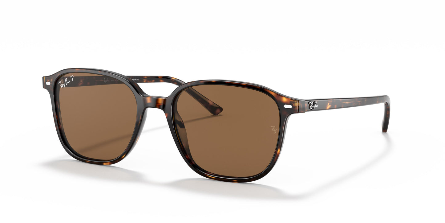 Ray-Ban RB2193 LEONARD 902/57 55