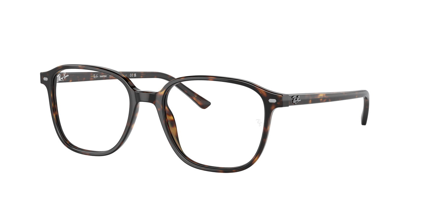 Ray-Ban RB2193 LEONARD 902/GH 53
