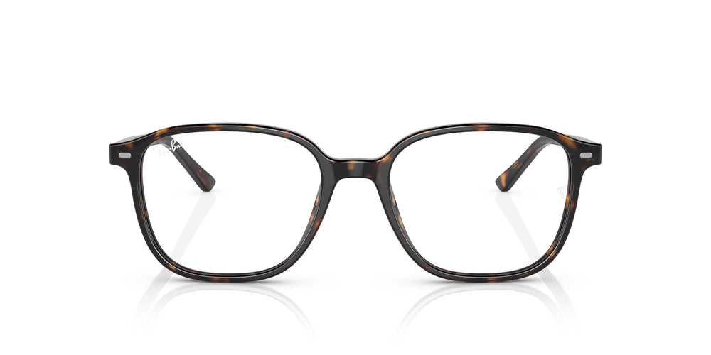 Ray-Ban RB2193 LEONARD 902/GH 53
