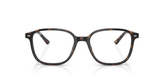 Ray-Ban RB2193 LEONARD 902/GH 53
