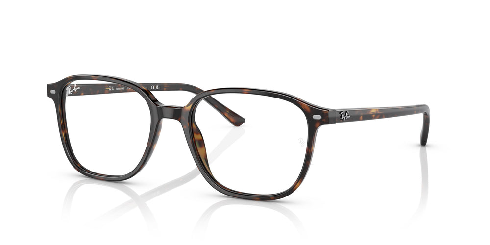 Ray-Ban RB2193 LEONARD 902/GH 53