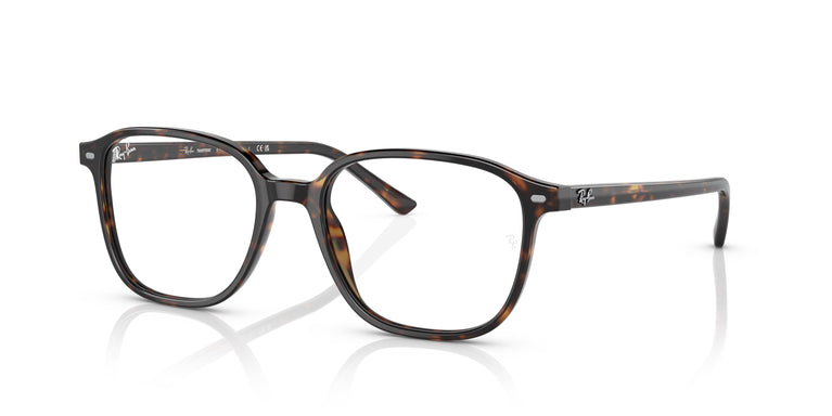 Ray-Ban RB2193 LEONARD 902/GH 51