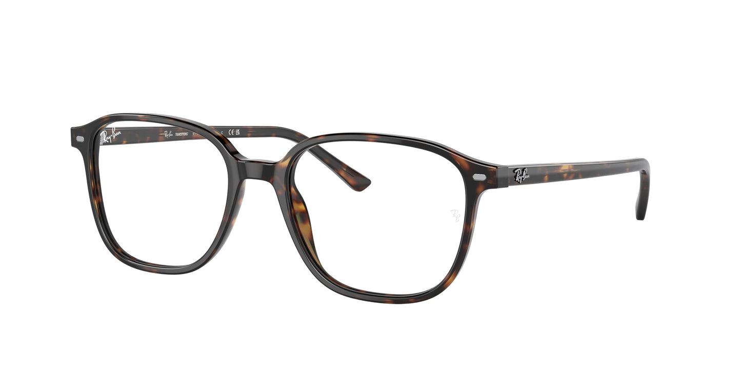 Ray-Ban RB2193 LEONARD 902/GH 51