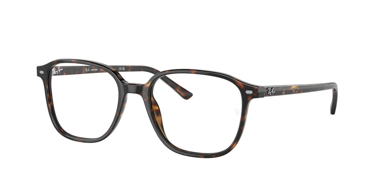 Ray-Ban RB2193 LEONARD 902/GH 51
