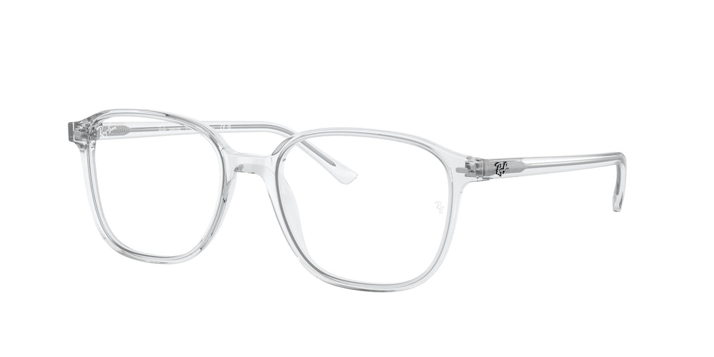 Ray-Ban RB2193 LEONARD 912/GH 53