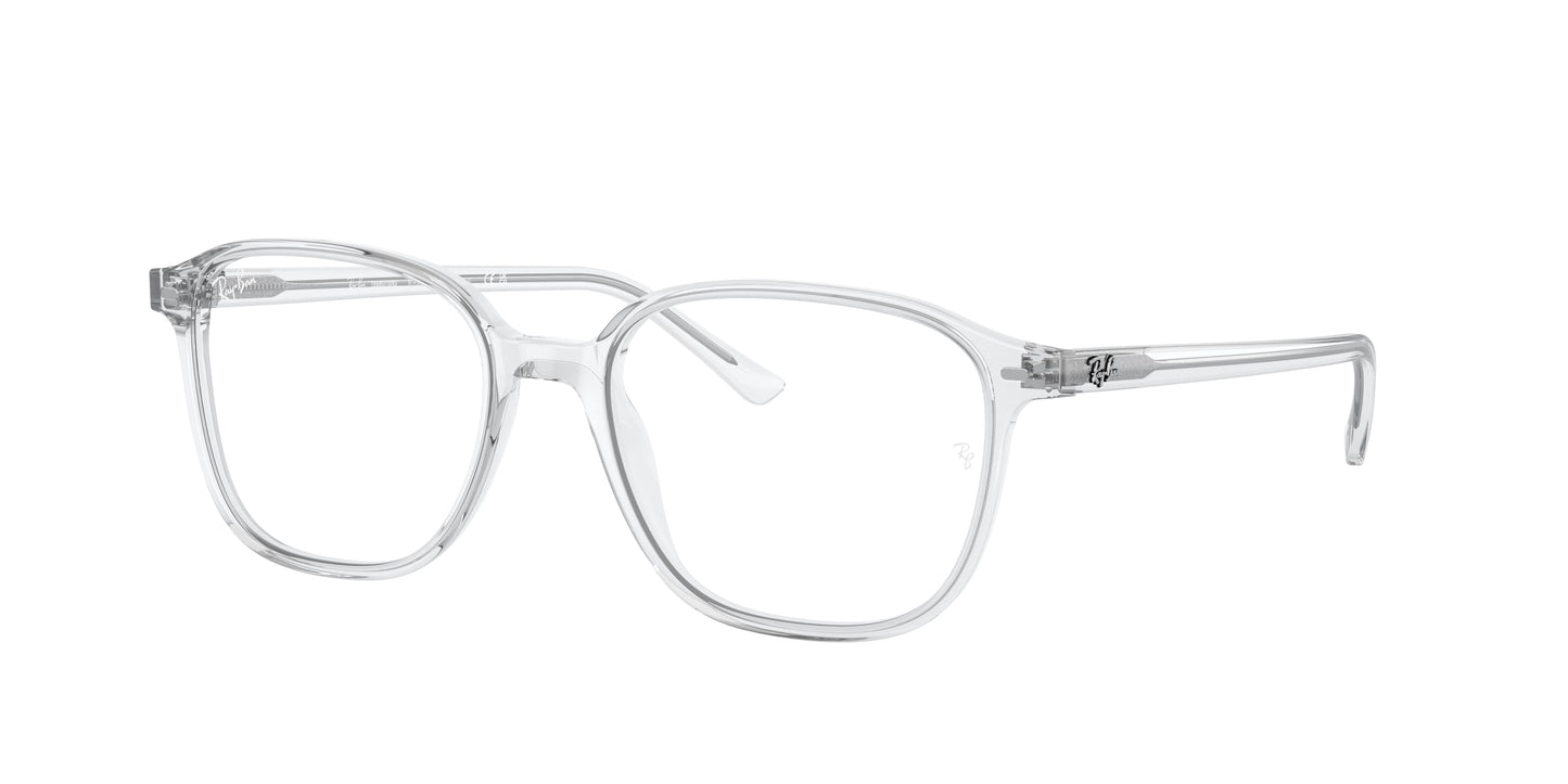 Ray-Ban RB2193 LEONARD 912/GH 53