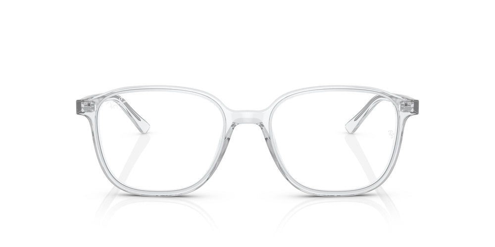Ray-Ban RB2193 LEONARD 912/GH 53