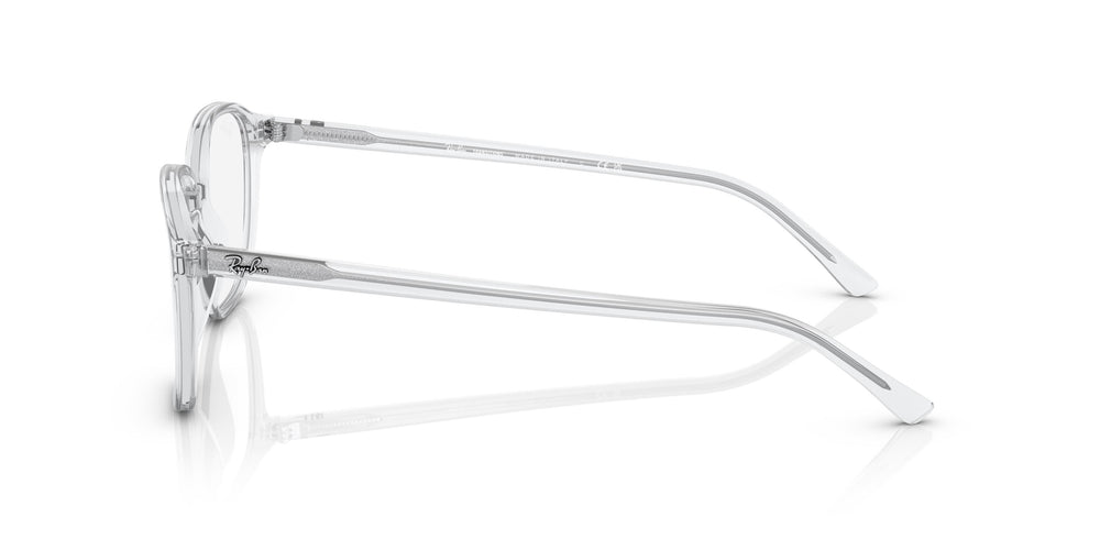 Ray-Ban RB2193 LEONARD 912/GH 53