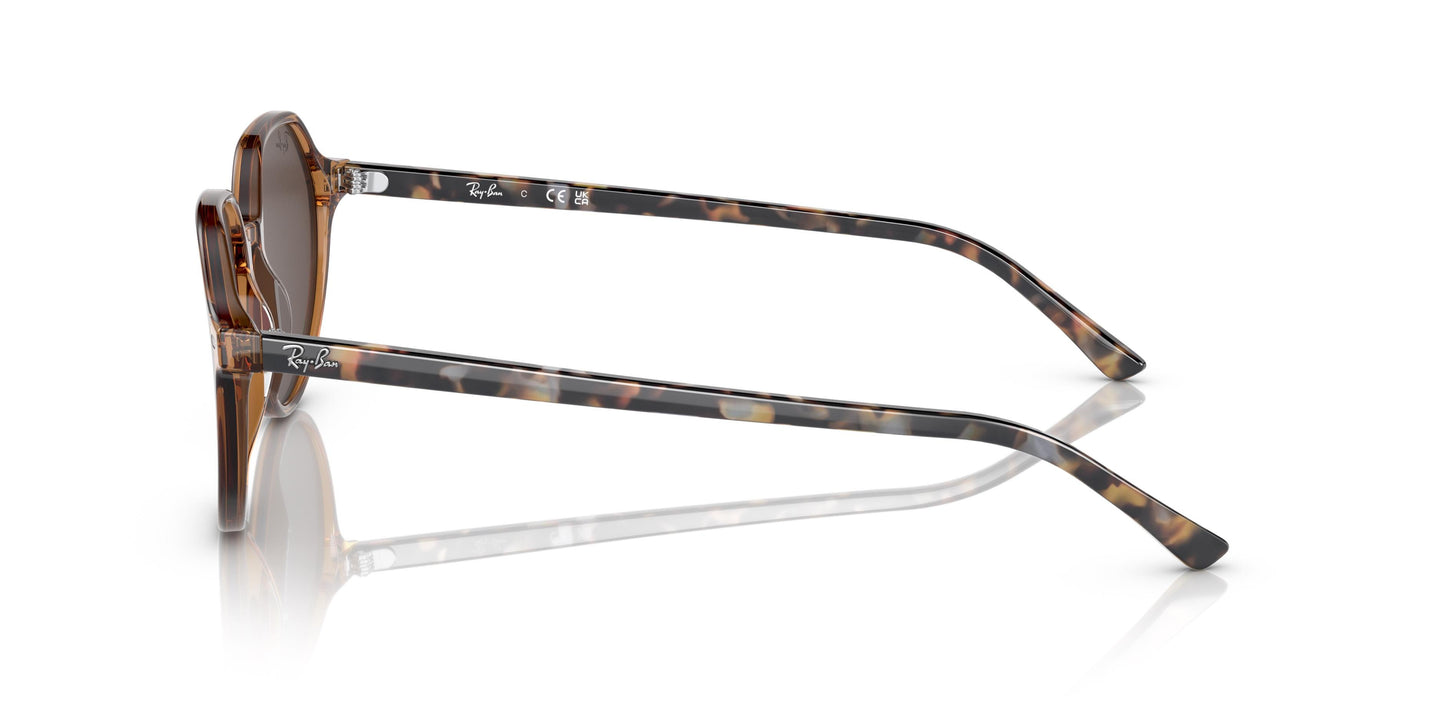 Ray-Ban RB2195 THALIA 663693 51