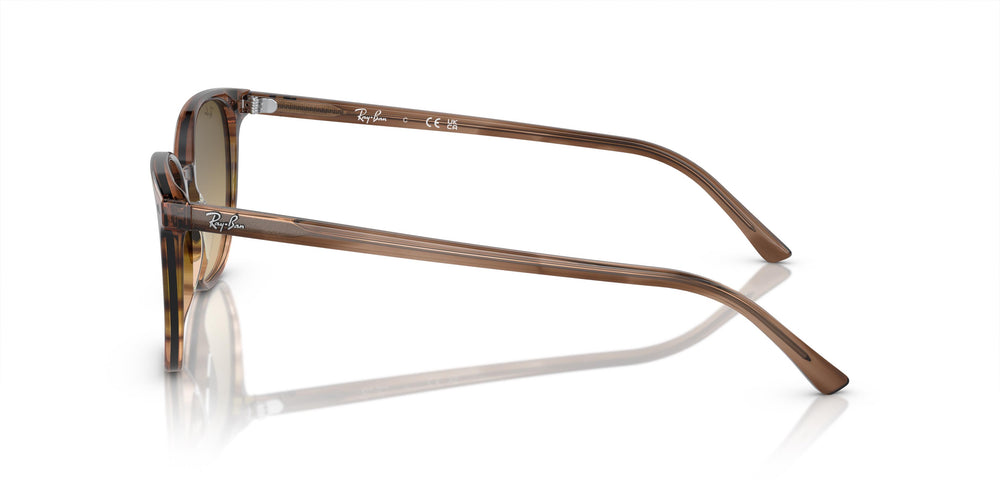 Ray-Ban RB2197 ELLIOT 13920A 52