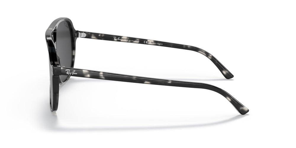 Ray-Ban RB2198 BILL  133348 56