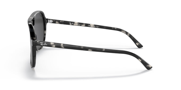 Ray-Ban RB2198 BILL 133348 60
