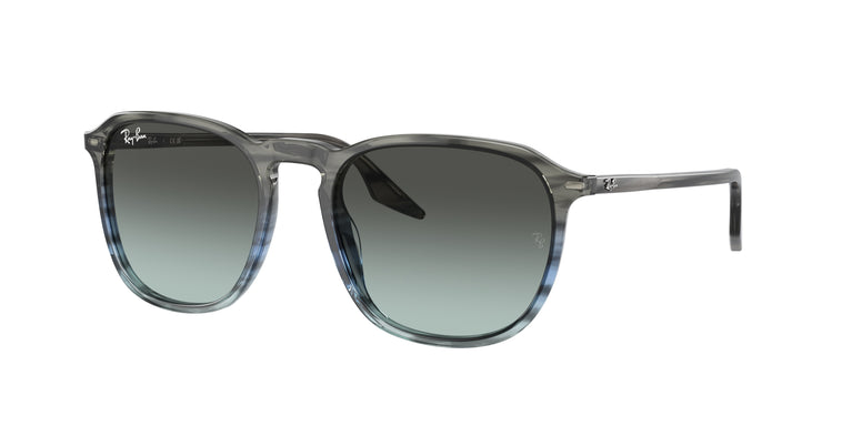 Ray-Ban RB2203 1391GK 55