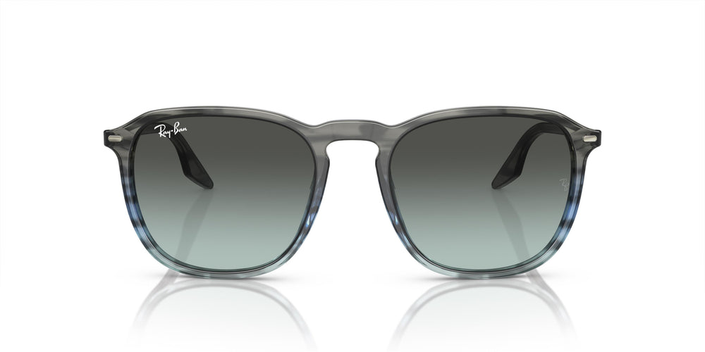 Ray-Ban RB2203 1391GK 52