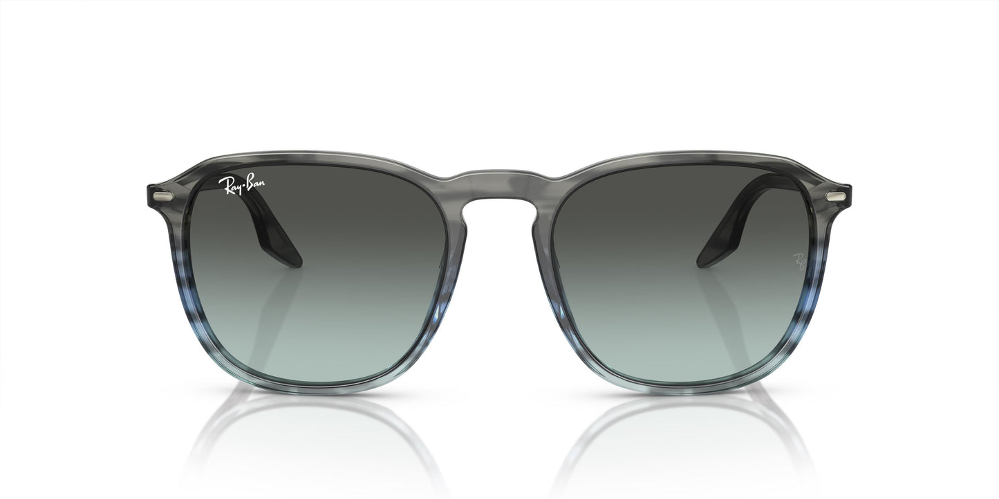 Ray-Ban RB2203 1391GK 52