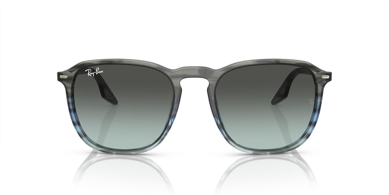Ray-Ban RB2203 1391GK 52