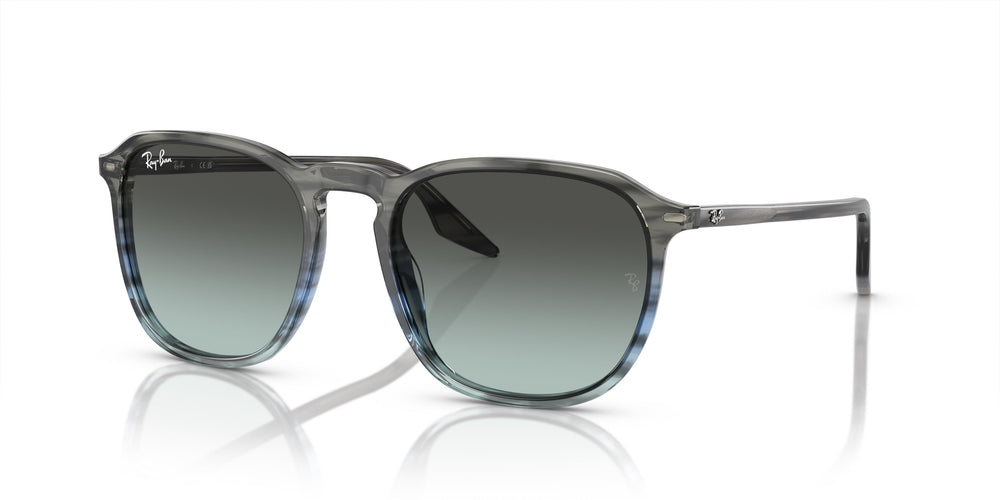 Ray-Ban RB2203 1391GK 55
