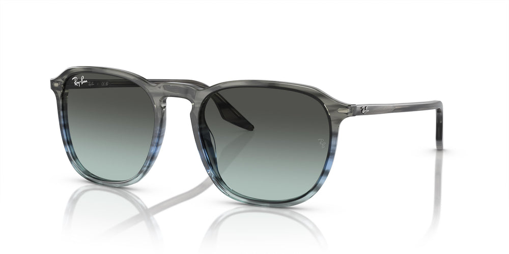 Ray-Ban RB2203 1391GK 52