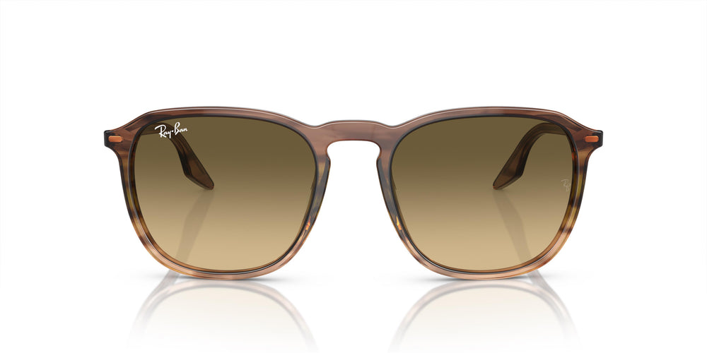 Ray-Ban RB2203 13920A 55
