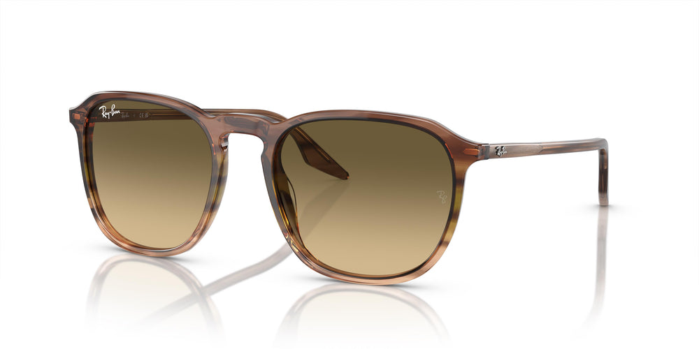 Ray-Ban RB2203 13920A 52