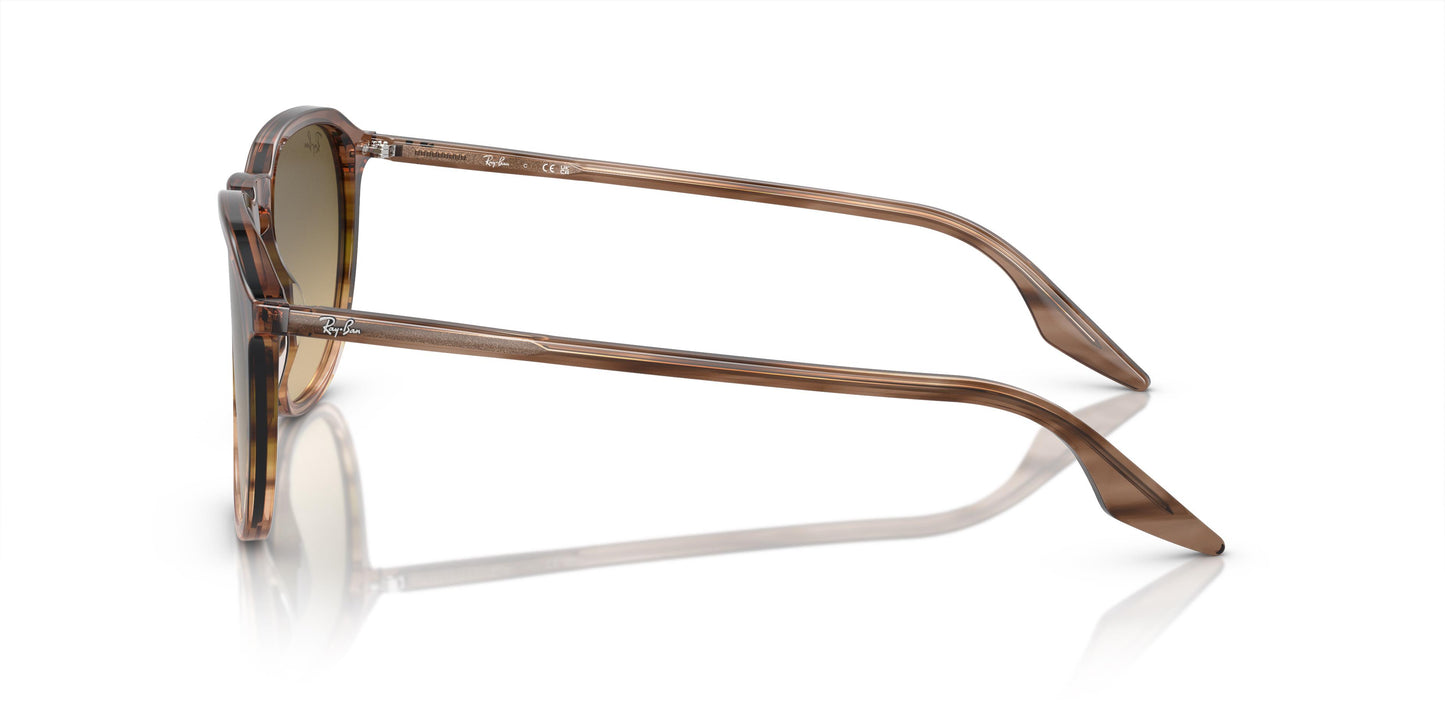 Ray-Ban RB2203 13920A 55