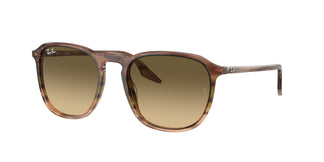 Ray-Ban RB2203 13920A 55