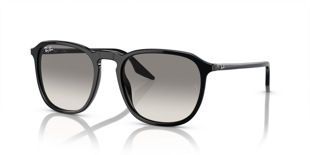 Ray-Ban RB2203 901/32 55