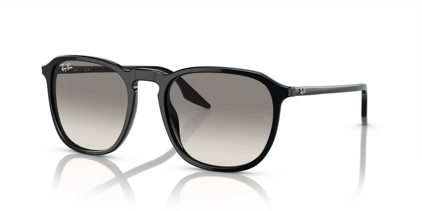 Ray-Ban RB2203 901/32 52