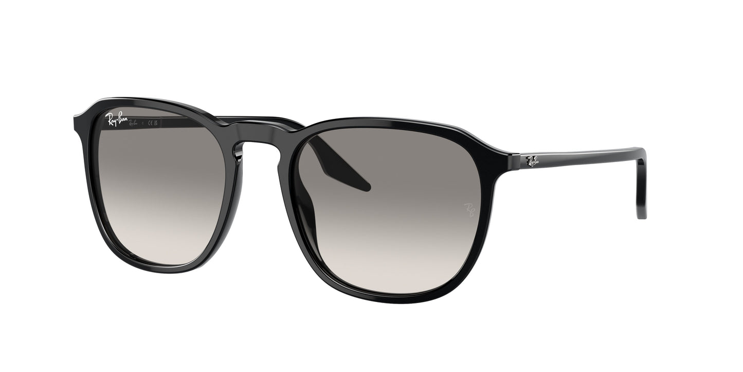 Ray-Ban RB2203 901/32 52