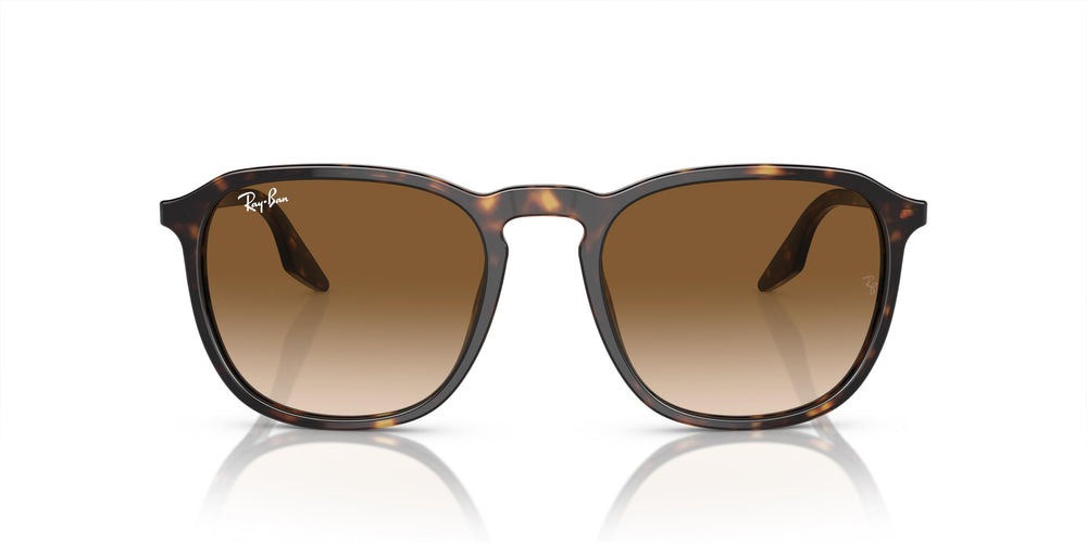Ray-Ban RB2203 902/51 55