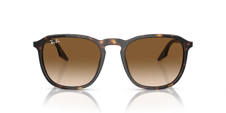 Ray-Ban RB2203 902/51 52