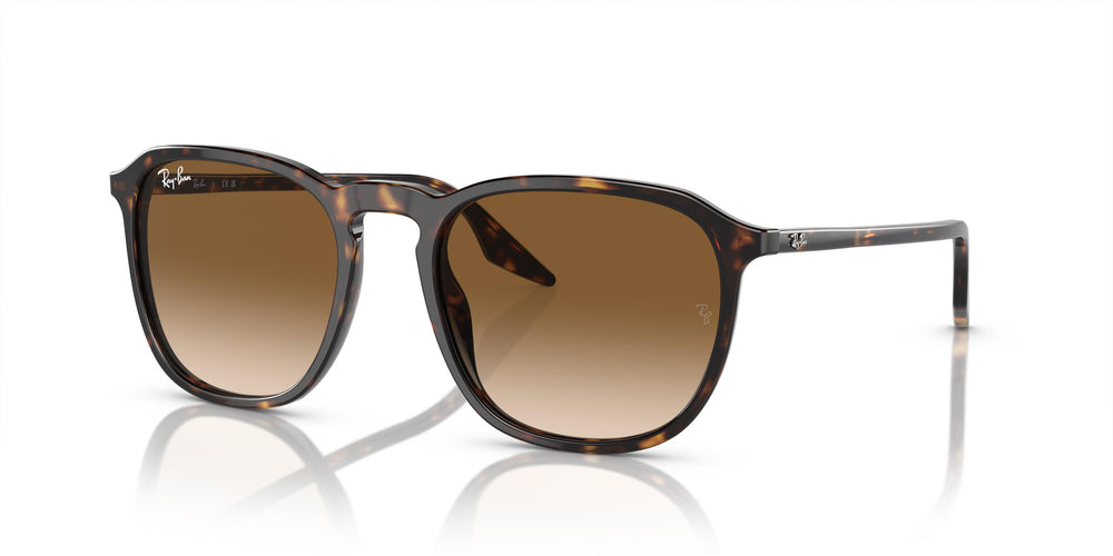 Ray-Ban RB2203 902/51 55