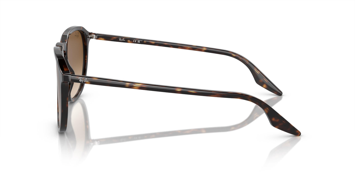 Ray-Ban RB2203 902/51 52