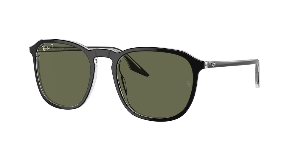 Ray-Ban RB2203 919/58 55