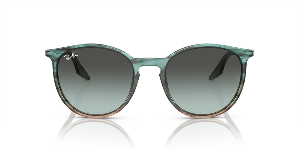 Ray-Ban RB2204 1394GK 51