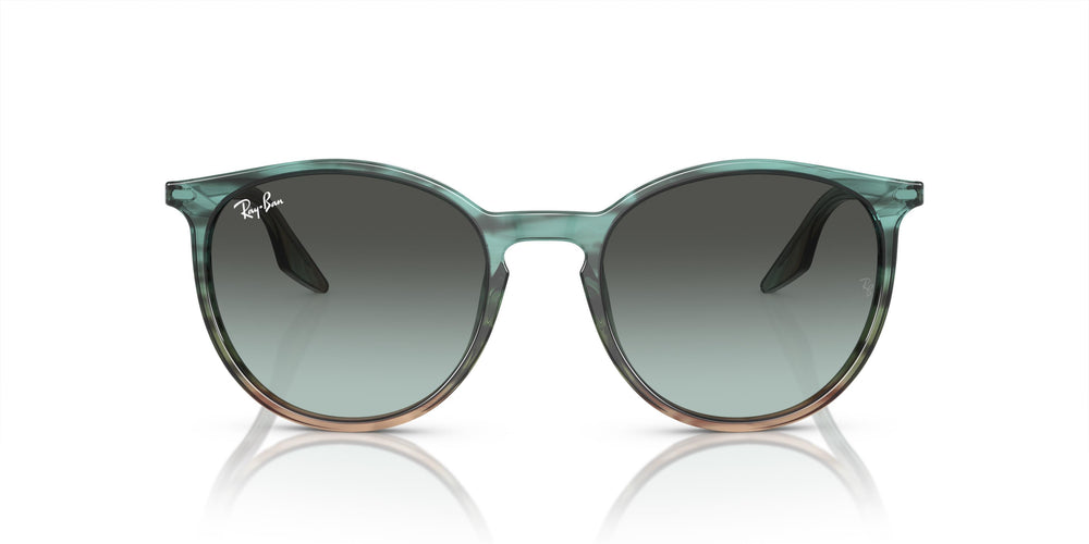 Ray-Ban RB2204 1394GK 54