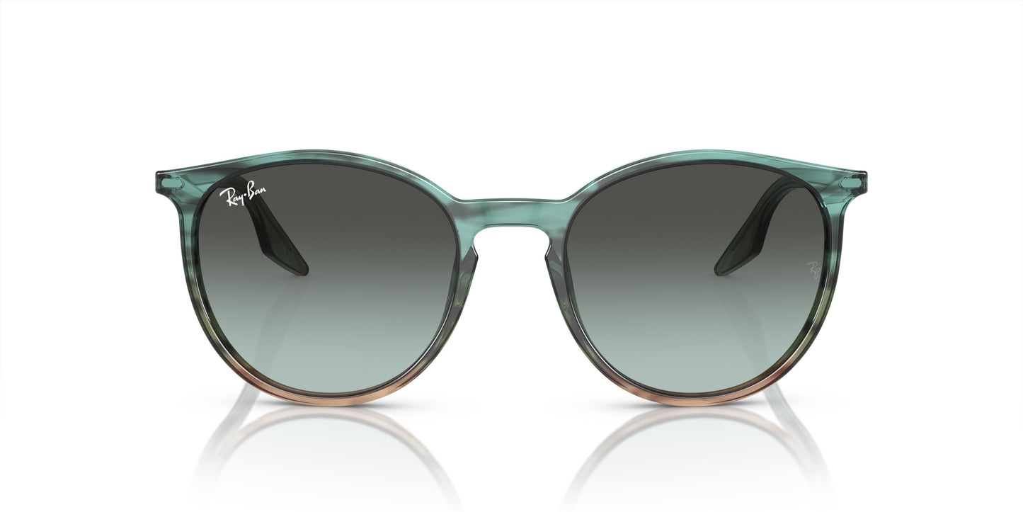 Ray-Ban RB2204 1394GK 54