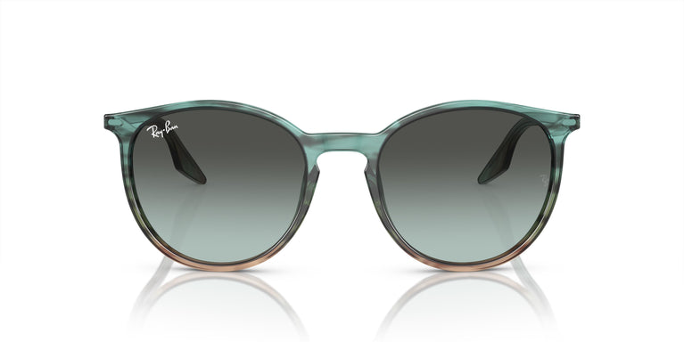 Ray-Ban RB2204 1394GK 54