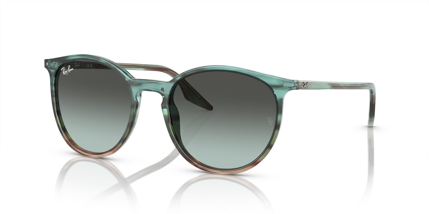 Ray-Ban RB2204 1394GK 54