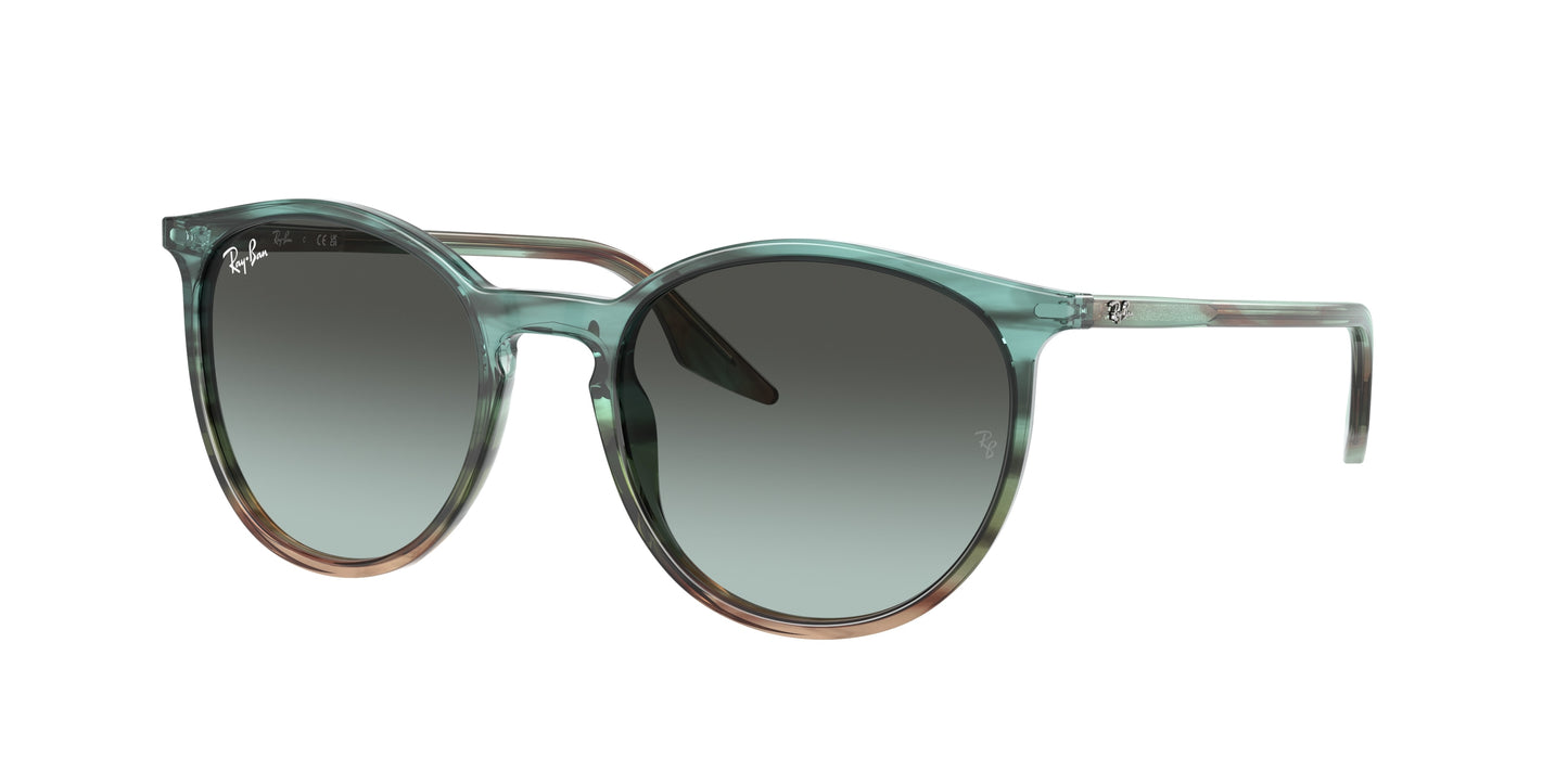 Ray-Ban RB2204 1394GK 54