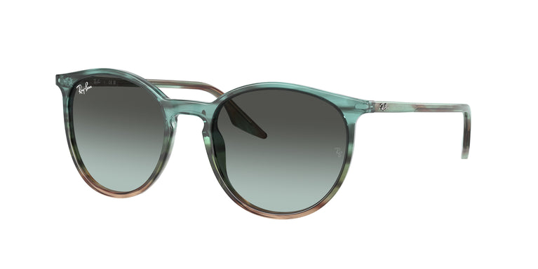 Ray-Ban RB2204 1394GK 54