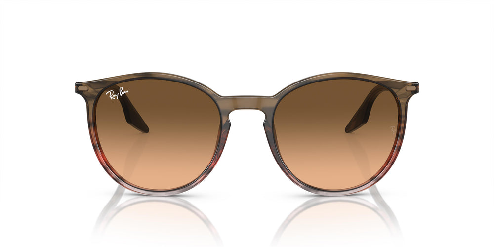 Ray-Ban RB2204 13953B 54