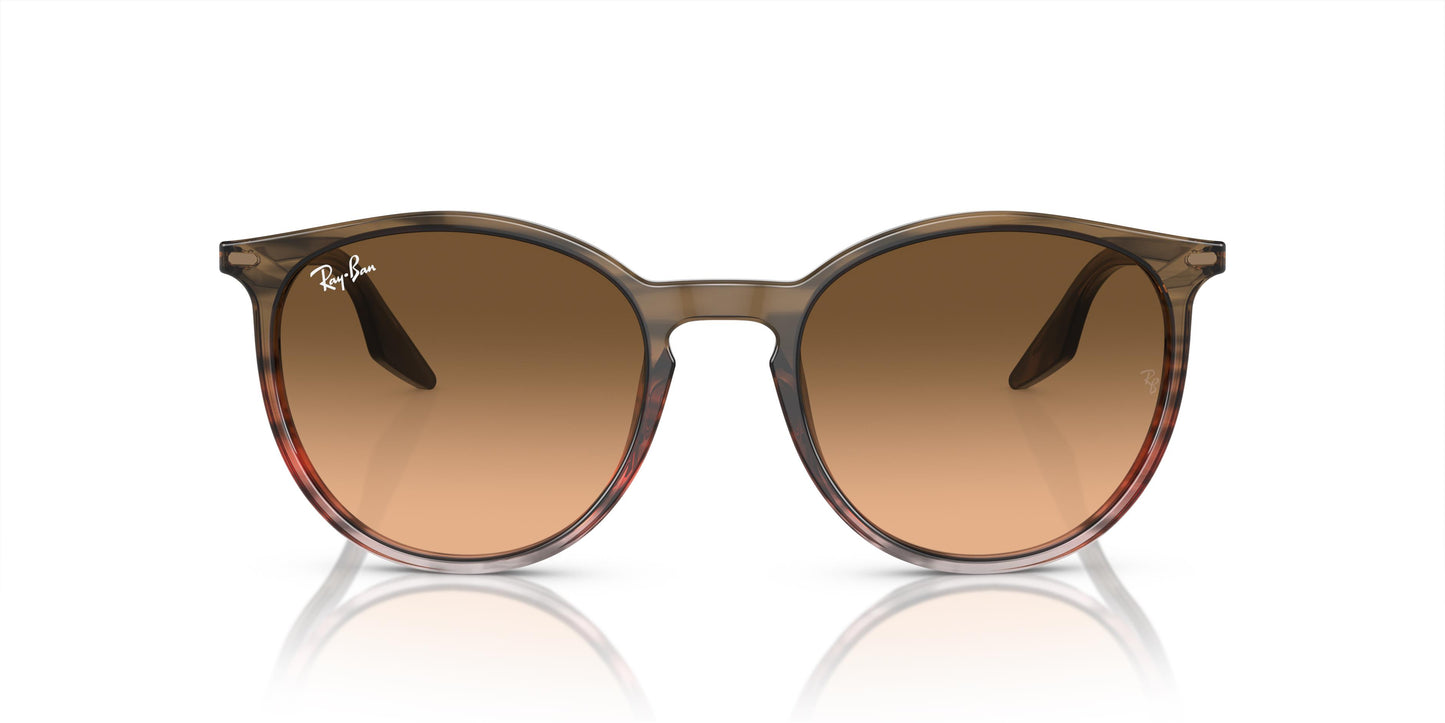 Ray-Ban RB2204 13953B 54