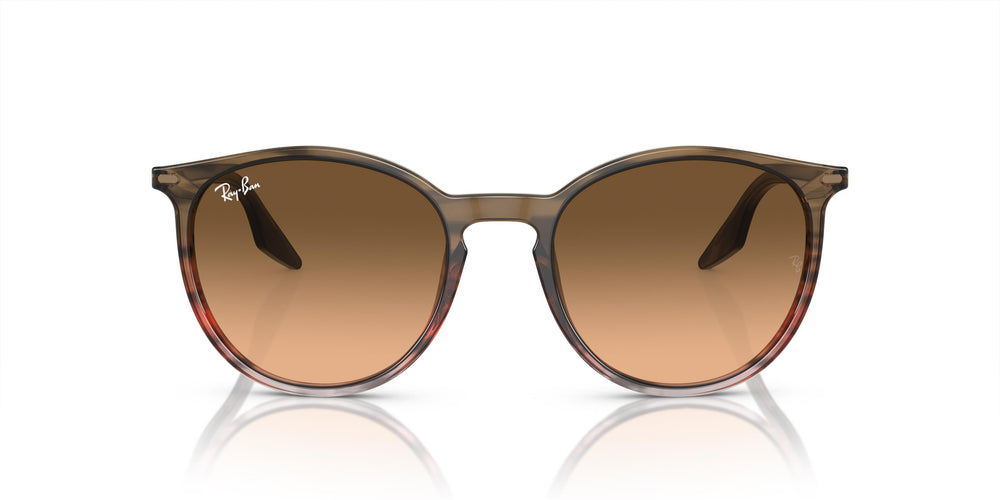 Ray-Ban RB2204 13953B 51