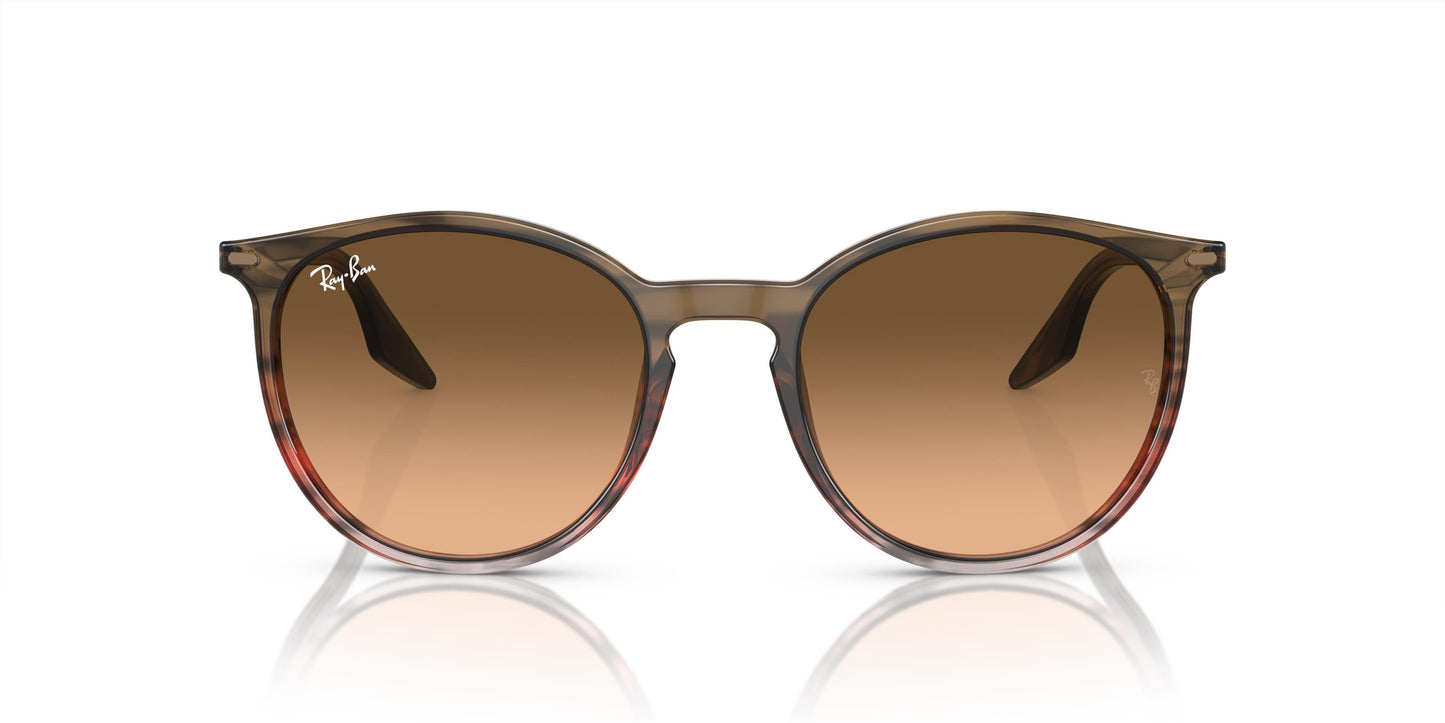 Ray-Ban RB2204 13953B 51