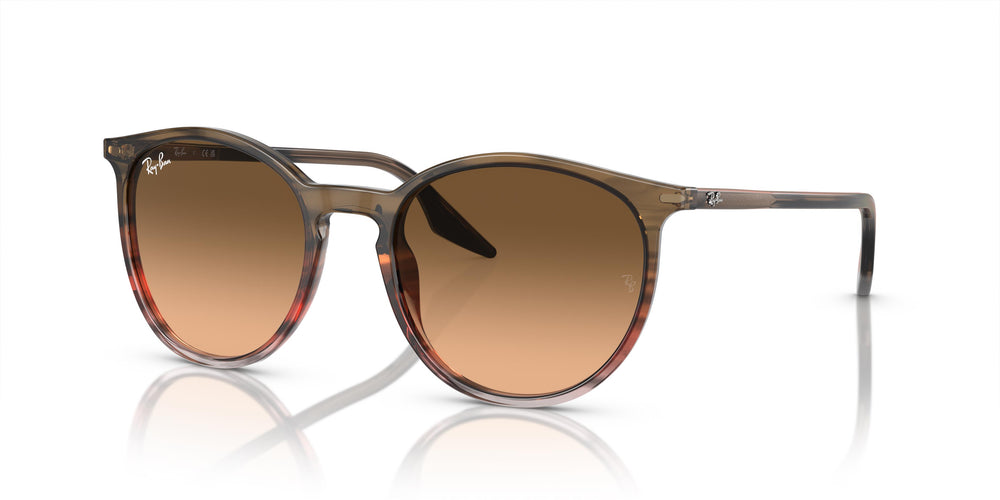 Ray-Ban RB2204 13953B 54