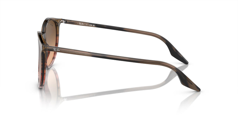 Ray-Ban RB2204 13953B 51